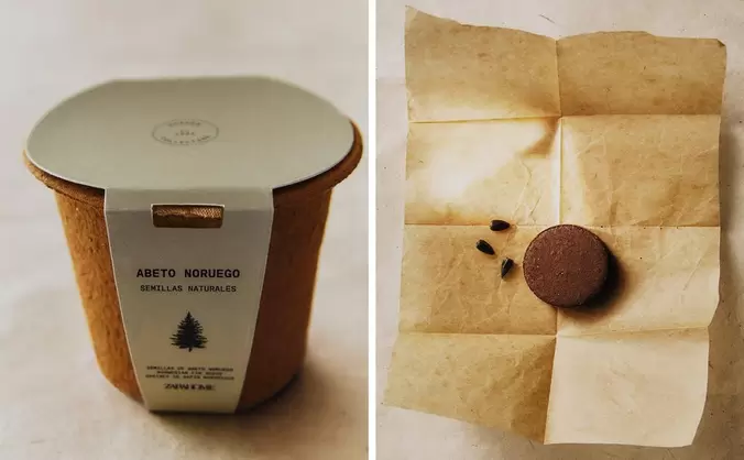 ANZUCHT-SET TANNENBAUM SAMEN