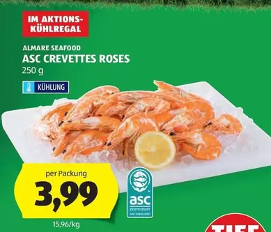 Roses - ASC CREVETTES ROSES