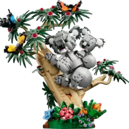 Wilde Tiere: Koala-Familie
