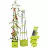 Royal Gardineer 2er-Set Pflanz-Türme mit Rankhilfe für Tomaten, mit 2,5-l-Wassertank