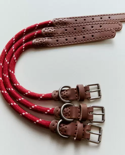 HALSBAND AUS LEDER UND SEIL FÜR HAUSTIERE HUNDELEINE AUS SEIL UND LEDER