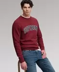 Athletic Applique Sweatshirt lockere Passform
