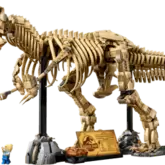 Dinosaurier-Fossilien: Tyrannosaurus rex