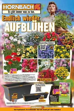 Hornbach Katalog in Innsbruck | HORNBACH AT | 2025-10-17T00:00:00.000Z - 2025-10-31T00:00:00.000Z