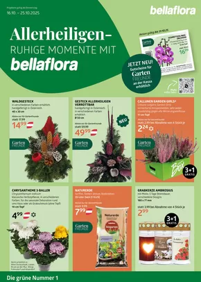Bellaflora Katalog in Feldbach | Bellaflora angebote | 2025-10-16T00:00:00.000Z - 2025-10-25T00:00:00.000Z