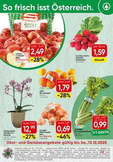 Eurospar Katalog | Attraktive Sonderangebote für alle | 2025-12-08T00:00:00.000Z - 2025-12-13T00:00:00.000Z