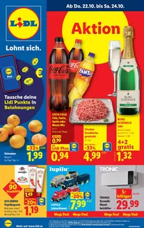 Lidl Katalog in Pöttelsdorf | Flugblatt | 2026-10-22T00:00:00.000Z - 2026-10-28T00:00:00.000Z