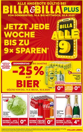 A BILLA FB KW33 2025 Wien
