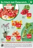 Eurospar Katalog | Attraktive Sonderangebote für alle | 2025-12-08T00:00:00.000Z - 2025-12-13T00:00:00.000Z