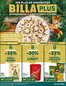 BILLA PLUS Katalog | BILLA PLUS FB KW50 2025 Wien | 2025-12-11T00:00:00.000Z - 2025-12-17T00:00:00.000Z