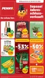 Penny Katalog | Aktuelle Schnäppchen und Angebote | 2024-12-24T00:00:00.000Z - 2025-12-31T00:00:00.000Z