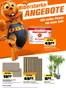 OBI Katalog in Wien | BIBERSTARKE ANGEBOTE | 2025-12-26T00:00:00.000Z - 2026-01-31T00:00:00.000Z