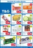T&G Katalog | TG flugblatt Osttirol. | 2026-07-02T00:00:00.000Z - 2026-07-15T00:00:00.000Z
