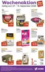ZOO & Co Katalog | ZOO Co flugblatt | 2026-09-07T00:00:00.000Z - 2026-09-13T00:00:00.000Z