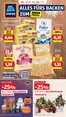 Hofer Katalog in Euratsfeld | Gültig ab Fr. 30.10. bis Do. 5.11 | 2026-10-30T00:00:00.000Z - 2026-11-05T00:00:00.000Z