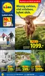 Lidl Reisen Katalog | Buchbar ab 28.10. | 2026-10-28T00:00:00.000Z - 2026-11-30T00:00:00.000Z