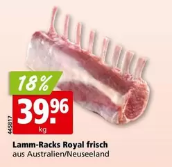 Royal - Lamm-Racks  frisch