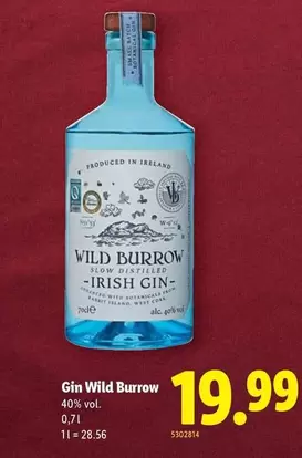 Gin Wild Burrow
