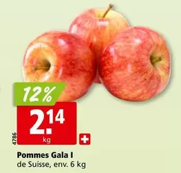 Pommes Gala I