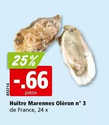 Huître Marennes Oléron n° 3