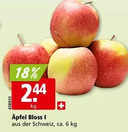 Äpfel Bloss I