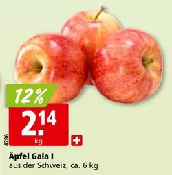 Äpfel Gala I