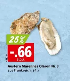 Austern Marennes Oléron Nr. 3