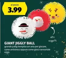 GIANT JIGGLY BALL