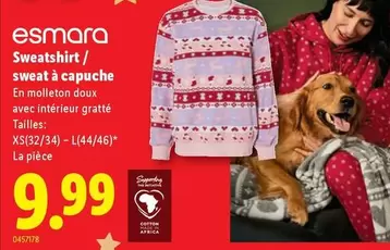 Sweatshirt/ sweat à capuche