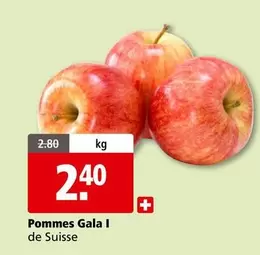 Pommes Gala I
