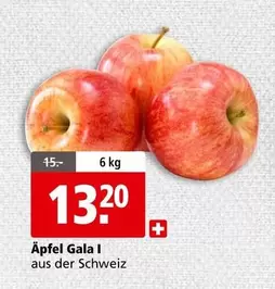 Äpfel Gala I