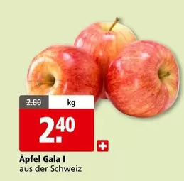 Äpfel Gala I