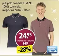 Pull Polo Hommes