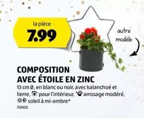 COMPOSITION AVEC ÉTOILE EN ZINC