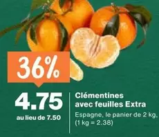 Clémentines avec feuilles Extra