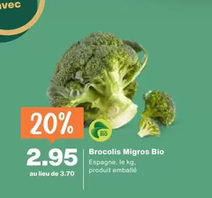 Brocolis Bio