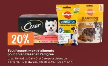 Aliments Pour Chien