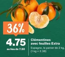Clémentines avec feuilles Extra
