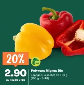 Poivrons Bio
