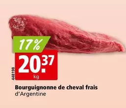 Bourguignonne de cheval frais