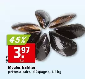 Moules fraîches