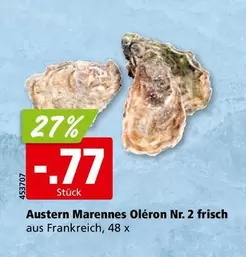 Austern Marennes Oléron Nr. 2 frisch