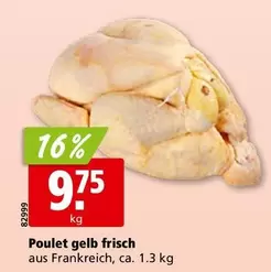 Poulet gelb frisch