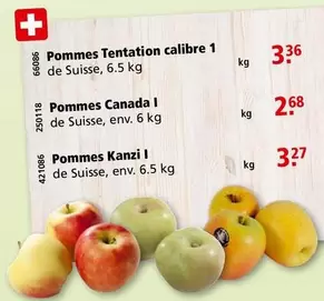 Pommes Tentation calibre 1, Pommes Canada I, Pommes Kanzi I