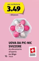 UOVA DA PIC-NIC SVIZZERE