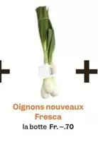 Oignons nouveaux
