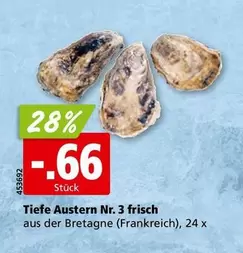 Tiefe Austern Nr. 3 frisch