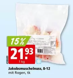 Jakobsmuschelnuss, 8-12