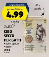 CIBO SECCO PER GATTI