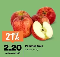 Pommes Gala
